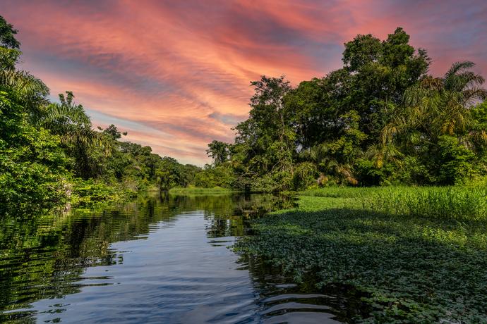 Tortuguero Nationalpark