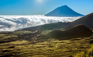 Pico
