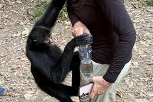 SKR Gast Irene mit einem Affen in Peru