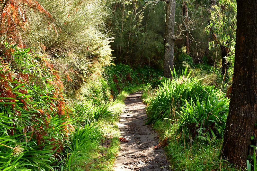  Levada da Serra do Faial