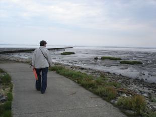 Spaziergang entlang des Deichs am Jadebusen
