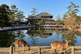 Todaiji Tempel in Nara