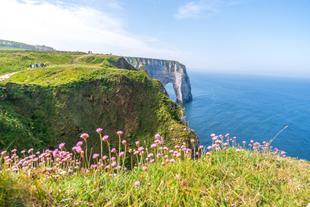 Klippen von Étretat