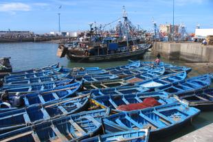 Blaue Fischerboote in Essaouira