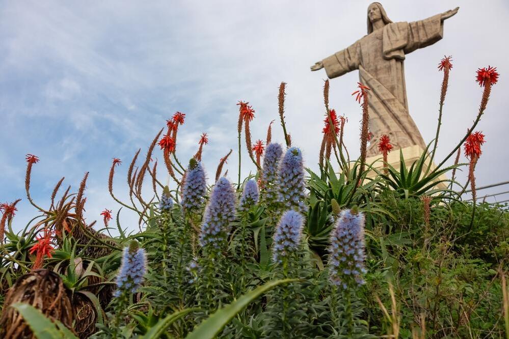 Christus-König-Statue in Garajau