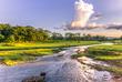 Chitwan Nationalpark