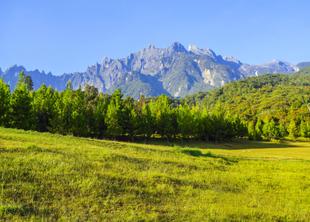 Kinabalu Nationalpark 