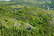 Waldlandschaft im Inselinneren von Neufundland 