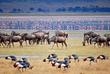 Tierherden am Lake Manyara