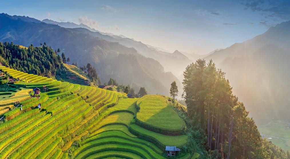 Die Reisterrassen von Mu Cang Chai