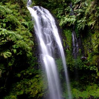 Wasserfall im Regenwald