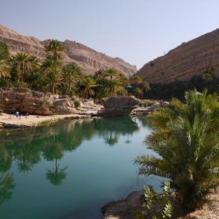 Wasserteich in Wadi Bani Khalid
