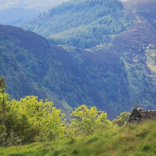 Glendalough: Kloster