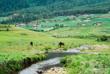 Phobjikha Tal