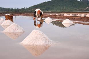 Salzfelder in der Nähe von Kampot