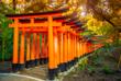 Fushimi-Inari-Shrine
