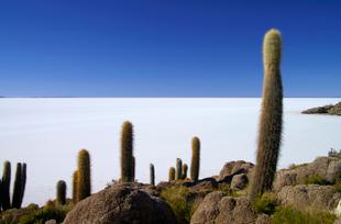 Salar de Uyuni