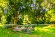 Dendrologischer Garten 