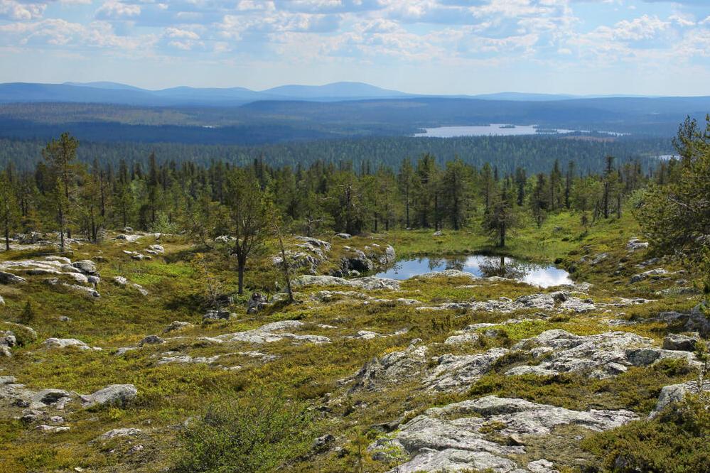 Landschaft Lapplands 