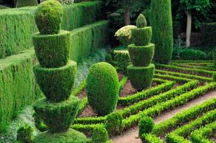 Kunstvolle Gärtnerei im Botanischen Garten 