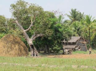 Bilu Insel 