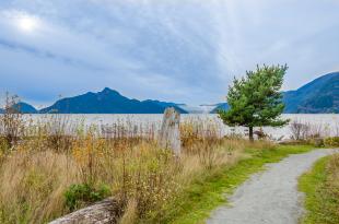 Wanderweg in Whistler 