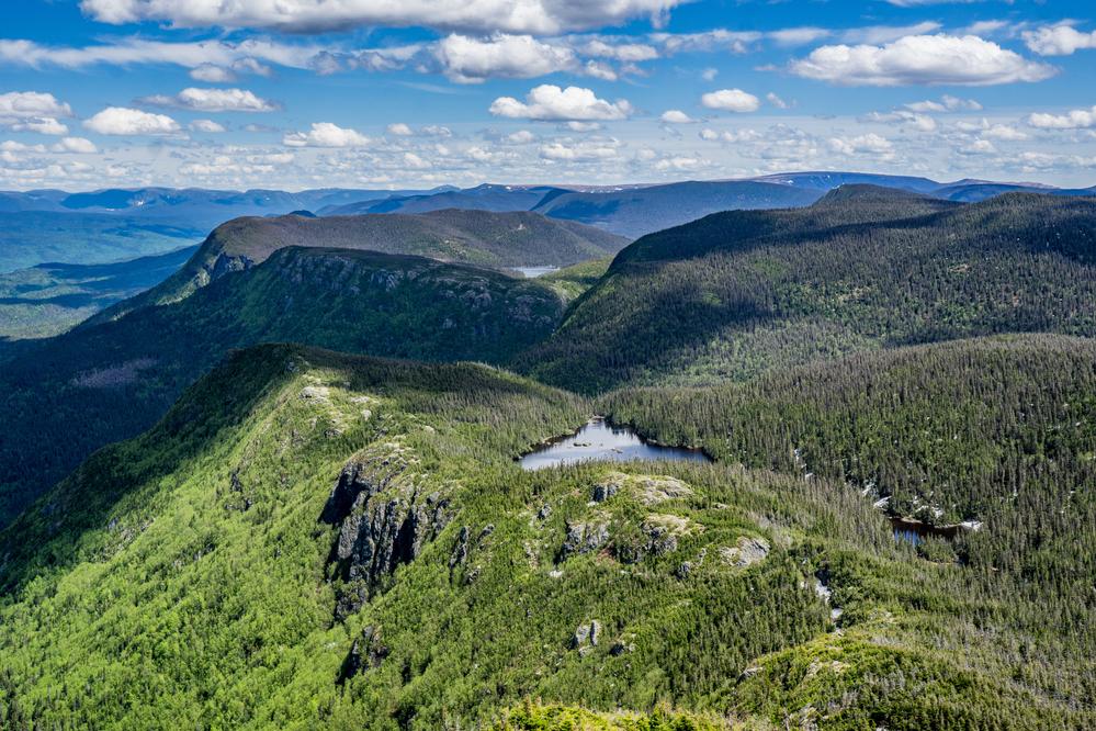 Gaspesie Nationalpark