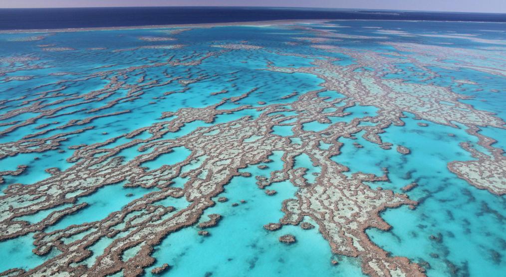 Great Barrier Reef 