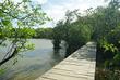 Steg am Ufer