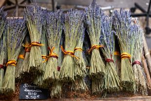 Getrocknete Lavendelsträuße auf dem Markt von Aix-en-Provence