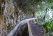 Levada dos Tornos