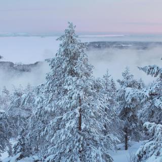 Ausblick vom Berg 