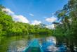 Regenwaldregion am Amazonas
