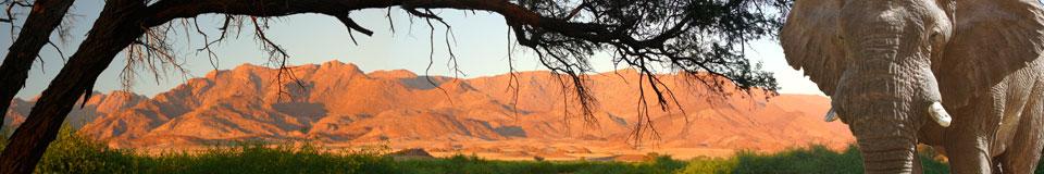 Aussicht