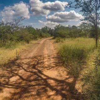 Hlane-Royal National Park