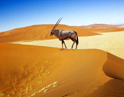 Sossuvlei