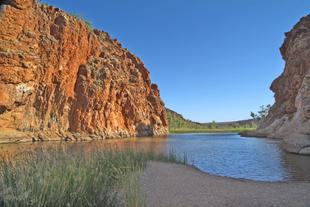 Outback