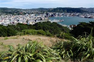 Panoramaaussicht auf Wellington vom Mt. Victoria Lookout