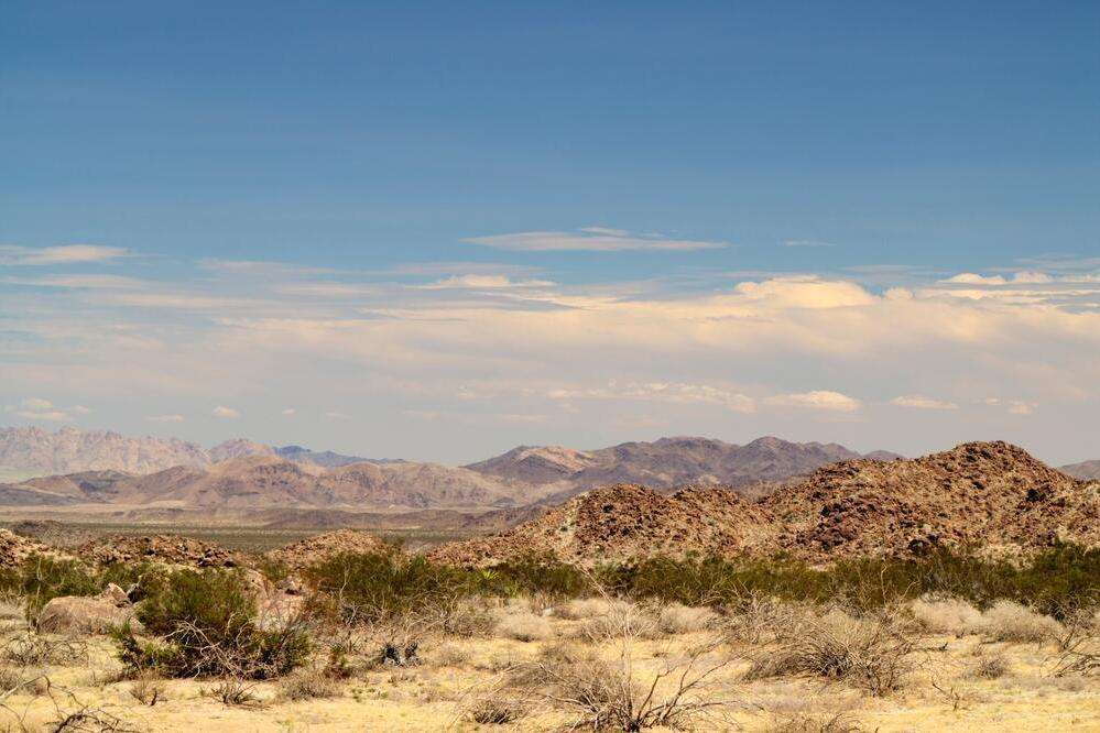 Landschaft der Mojave Wüste