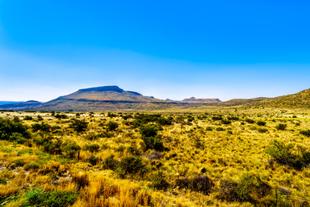 Landschaft in der Karoo Region