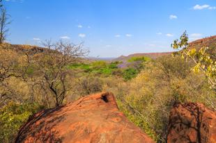 Landschaft in der Nähe von Otjiwarongo