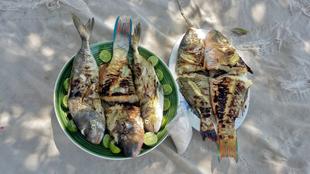 Fisch-Barbecue am Strand von Ifaty 