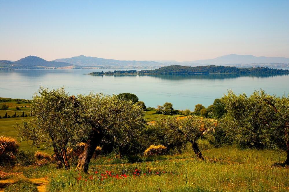 Lago Trasimeno