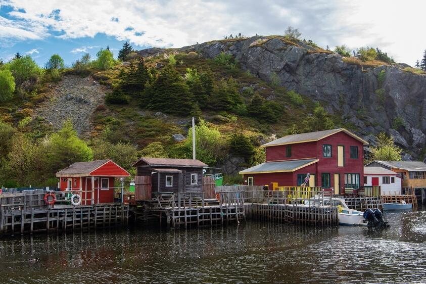Quidi Vidi