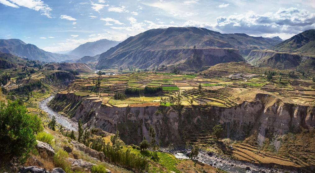 Colca Canyon