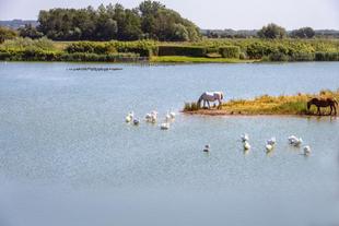 Bucht von Somme