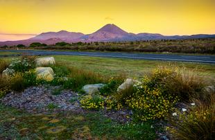 Tongariro Nationalpark