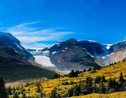 Wilcox Pass 