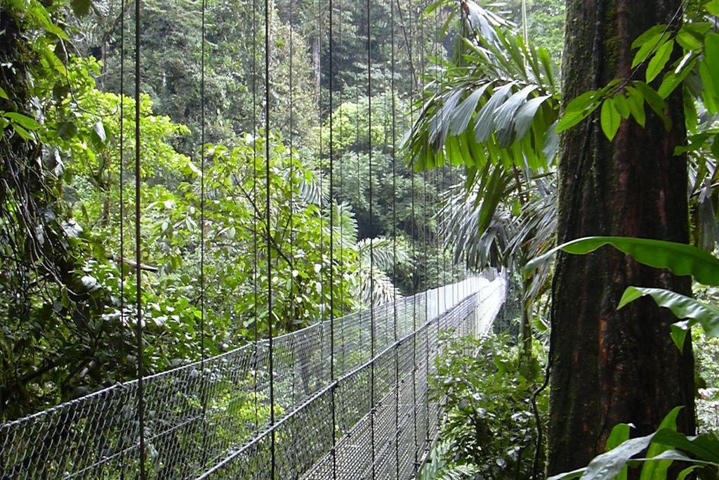 Hängebrücke in Costa Rica