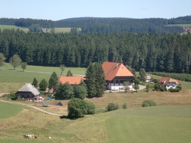 Wanderung zu einem Schwarzwaldhof